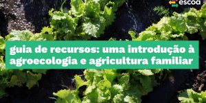 Blog-Cambuca-Consultoria-Projeto-ESCOA-Guia-de-recursos-uma-introducao-a-agroecologia-e-agricultura-familiar